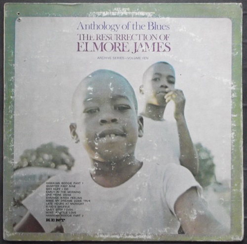 Resurrection Of Elmore James