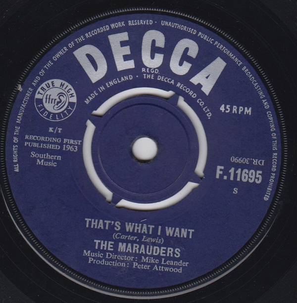 That's What I Want / Hey Wha D'Ya Say