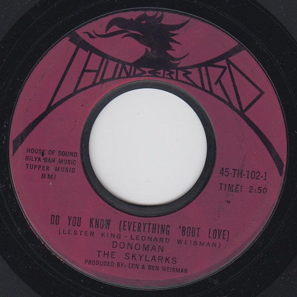 Do You Know Everything Bout Love / Here Comes The Fool