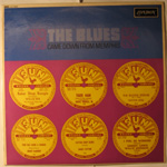 Blues Came Down From Memphis
