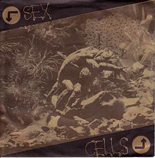 Sex Cells / The Road Of Lyfe
