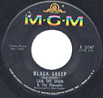 Black Sheep / My Day's Gonna Come