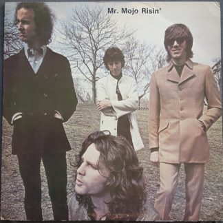 Mr. Mojo Risin'
