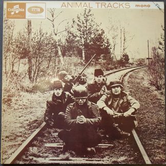 Animal Tracks