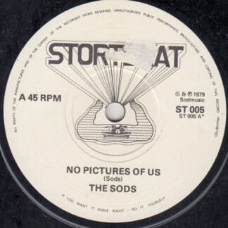 No Pictures Of Us / Plaything