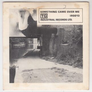 Subhuman / Something Came Over Me