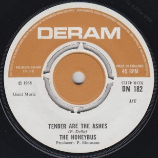 I Can't Let Maggie Go / Tender Are The Ashes