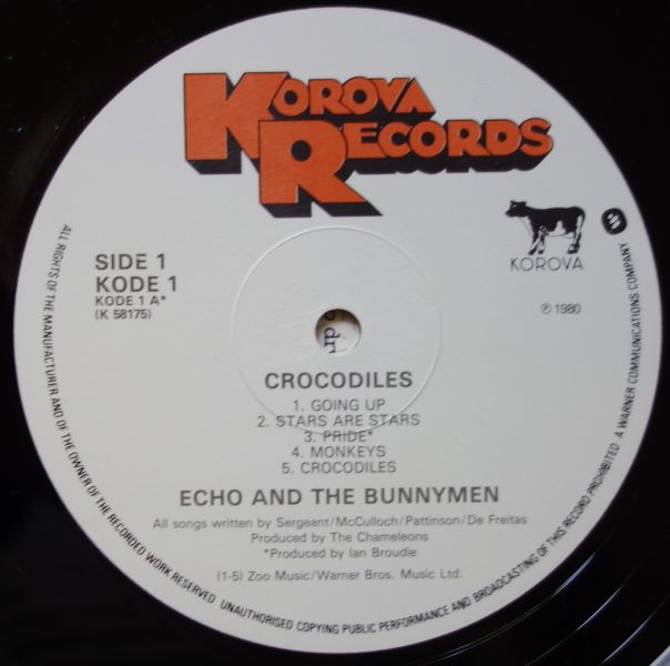 Crocodiles - Image 3