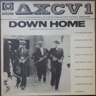 Delta Experimental Projects Compilation Vol 1. The Blues - ΔXCV 1 Down Home
